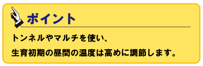 ATOUN MODEL Y【AWN-12】