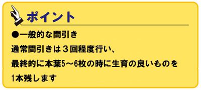 ATOUN MODEL Y【AWN-12】