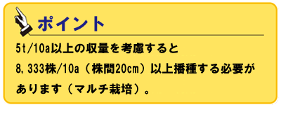 ATOUN MODEL Y【AWN-12】