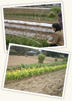 第2回 茨城にお住まいの吉田さん