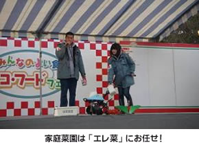 家庭菜園はエレ菜にお任せ