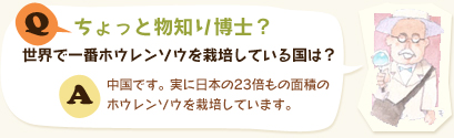 ちょっと物知り博士？世界で一番ホウレンソウを栽培している国は？