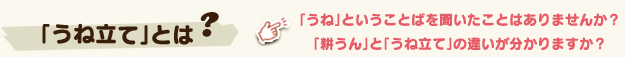 「うね立て」とは？