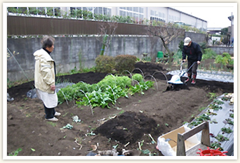 家庭菜園をしようと思ったのはなぜですか？