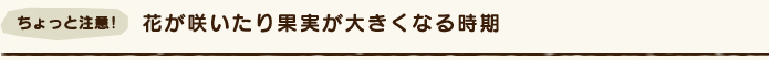 花が咲いたり果実が大きくなる時期