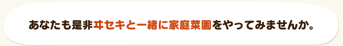 あなたも是非ヰセキと一緒に家庭菜園をやってみませんか。