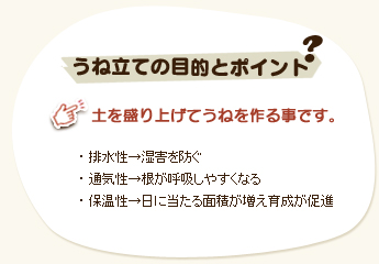 排水性→湿害を防ぐ通気性→根が呼吸しやすくなる保温性→日に当たる面積が増え育成が促進