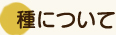 種について