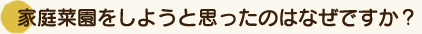 家庭菜園をしようと思ったのはなぜですか？