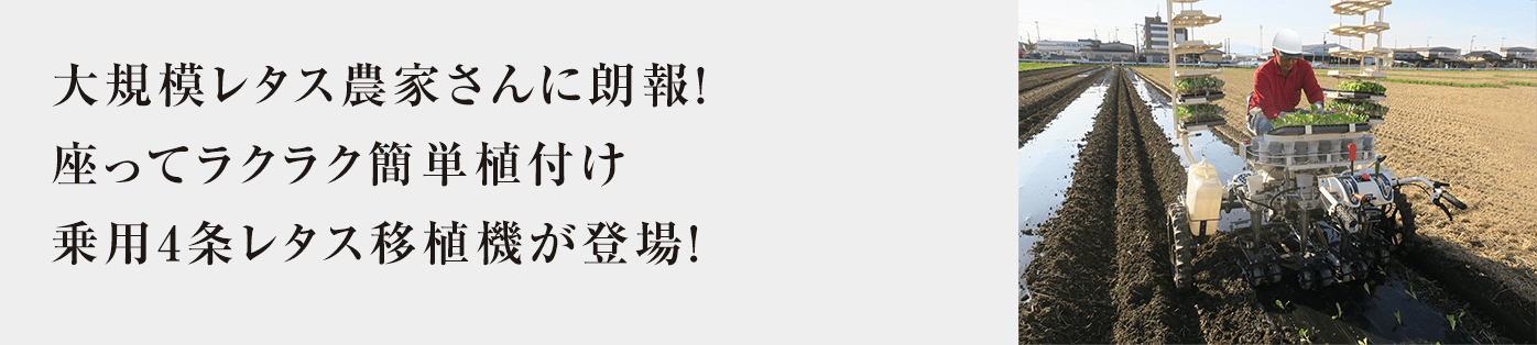 大規模レタス農家さんに朗報!座ってラクラク簡単植付け乗用4条レタス移植機が登場!