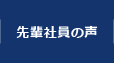 先輩社員の声