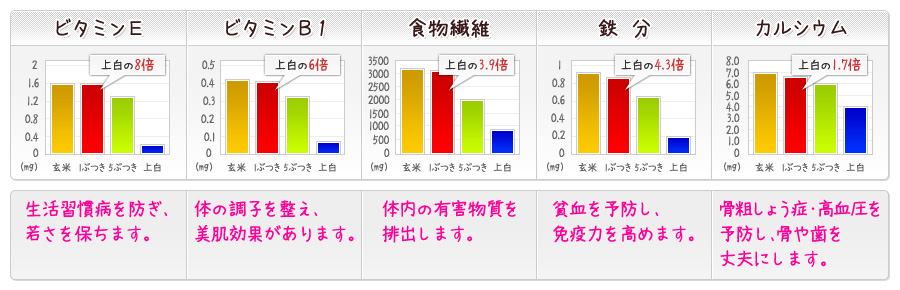 ビタミンE｜ビタミンB1｜食物繊維｜鉄分｜カルシウム